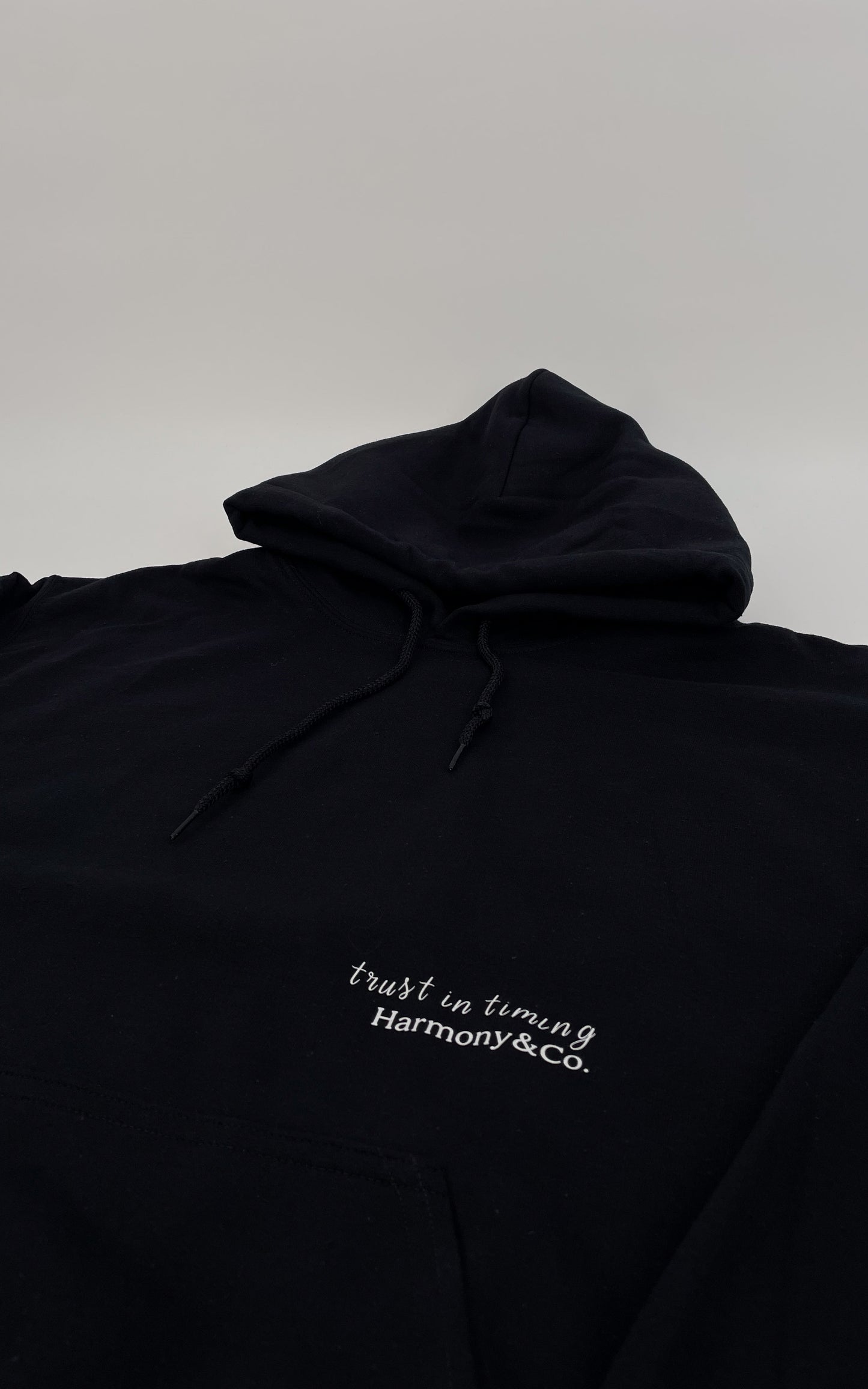 Trust in timing Hooded Sweatshirt