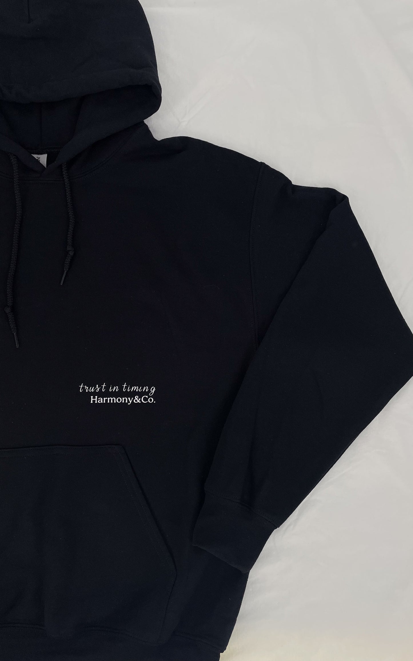 Trust in timing Hooded Sweatshirt